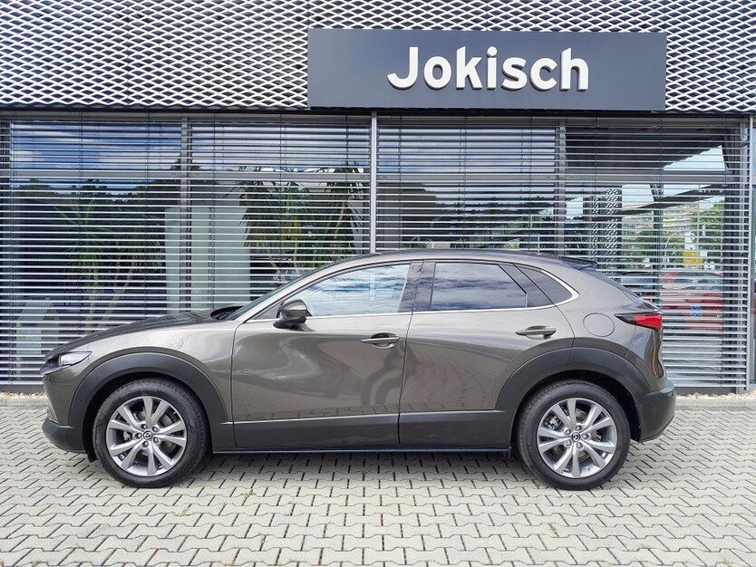 CX-30