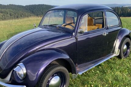 VW Käfer 33.000 km 4.300 € Stützengrün 08328