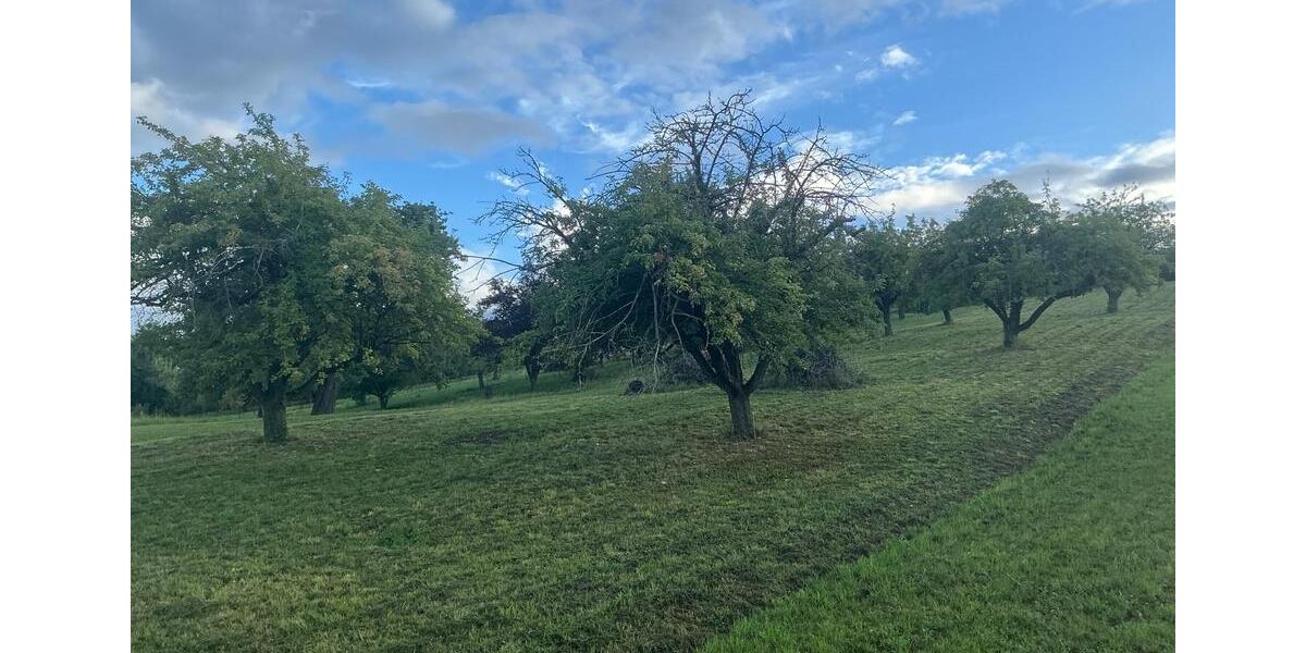 Grundstück Esslingen am Neckar Brühl - 12.000&euro; | Angebot:24226766