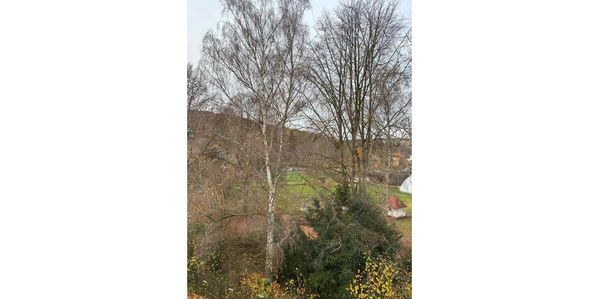 Etagenwohnung Bad Salzschlirf - 2 Zimmer, 36 m&sup2;, 75.000&euro; | Angebot:26535225