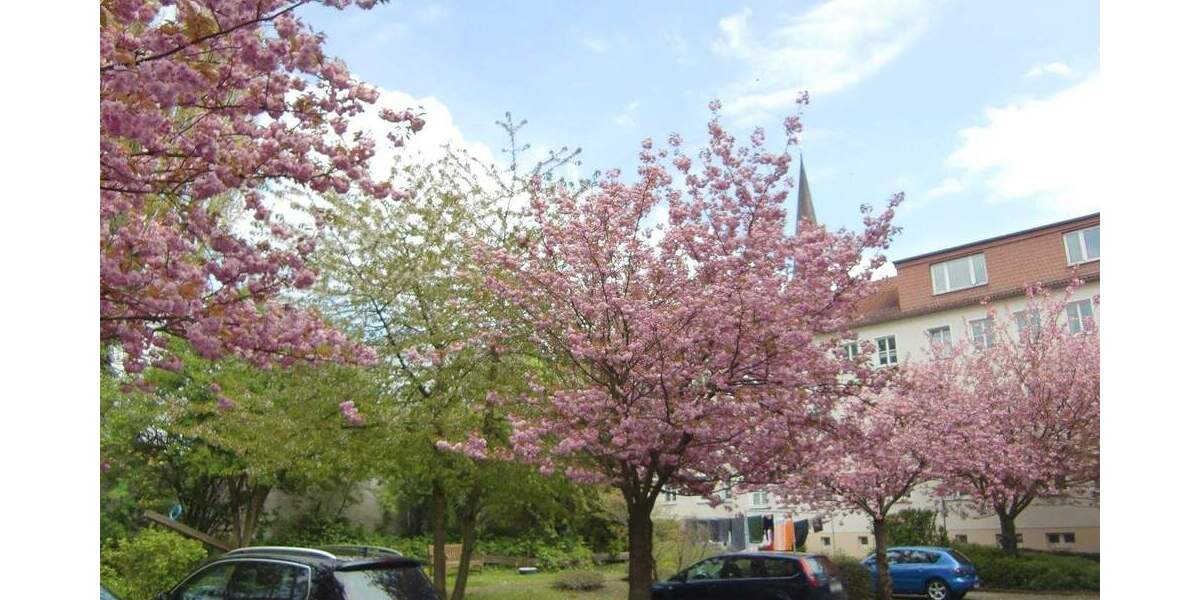 Hell & Renoviert! 3 Zimmer + Esszimmer, Vinyl-Boden, Tageslichtbad + 2 Abstellräume + gute Lage 3 zimmer