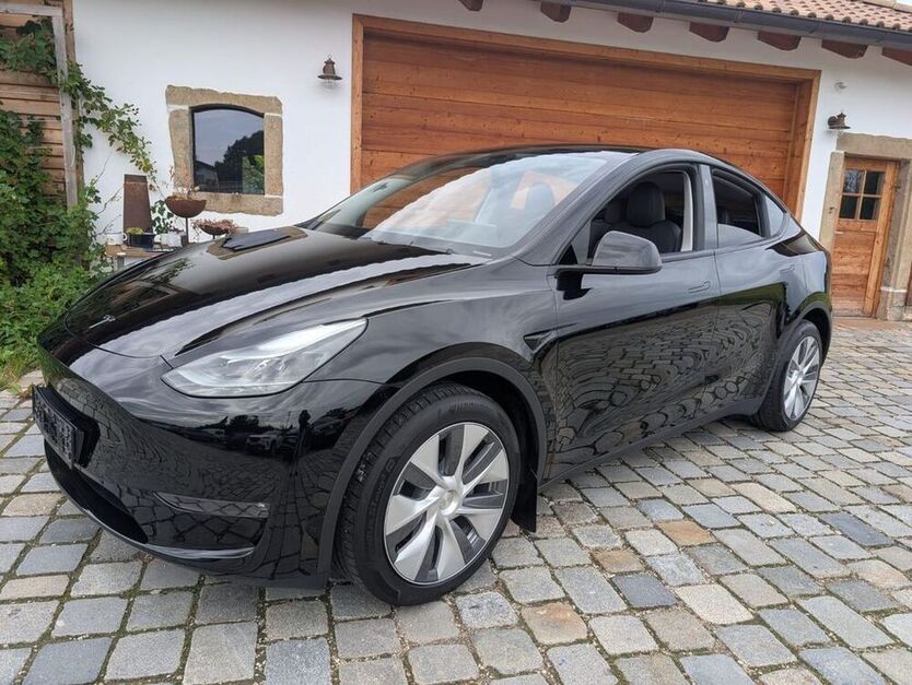 Model Y