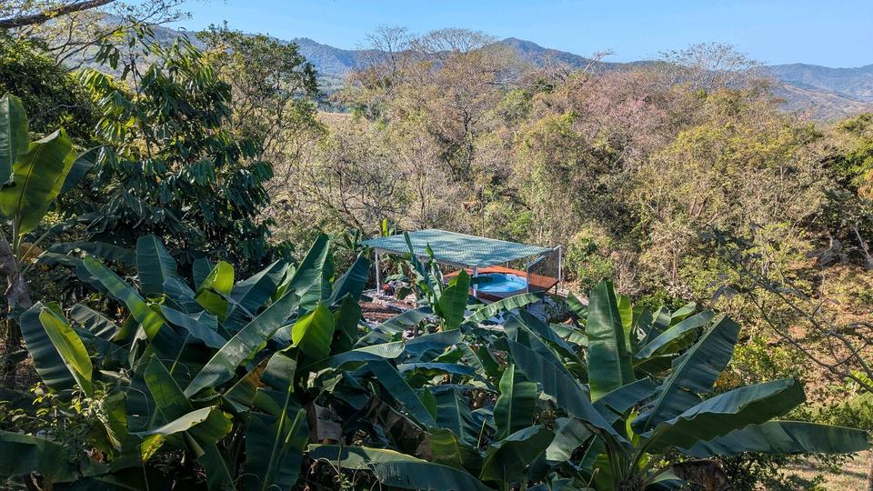 Einfamilienhaus Johanniskirchen - 170.000&euro; | Angebot:26021558