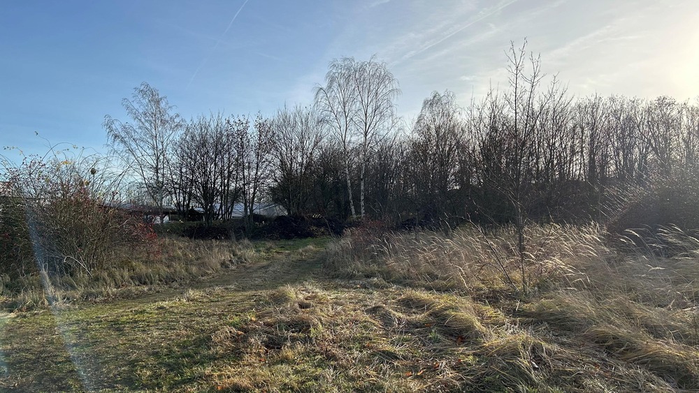 Grundstück Kamenz - 130.000&euro; | Angebot:23987499