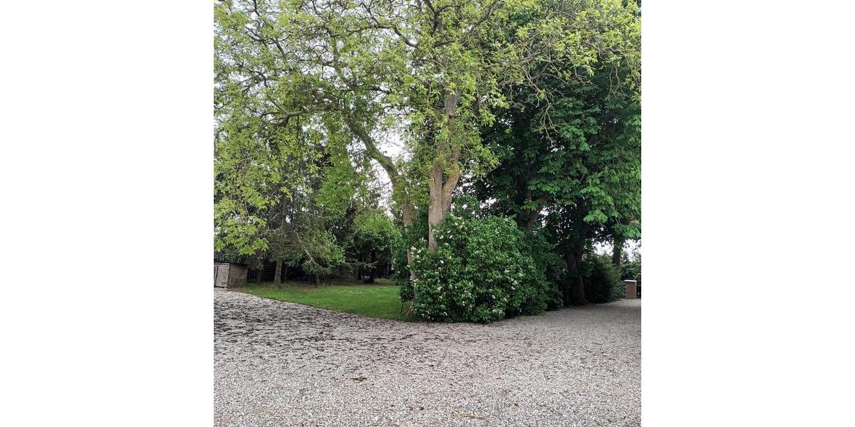 Bauernhaus, Landhaus Gransebieth - 6 Zimmer, 150 m&sup2;, 234.000&euro; | Angebot:26963089