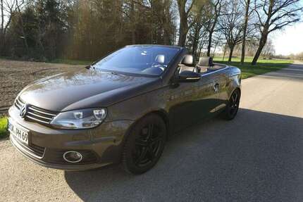 VW Eos