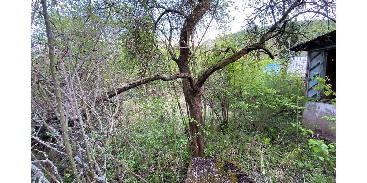 Grundstück in ruhiger Stadtrandlage zimmer