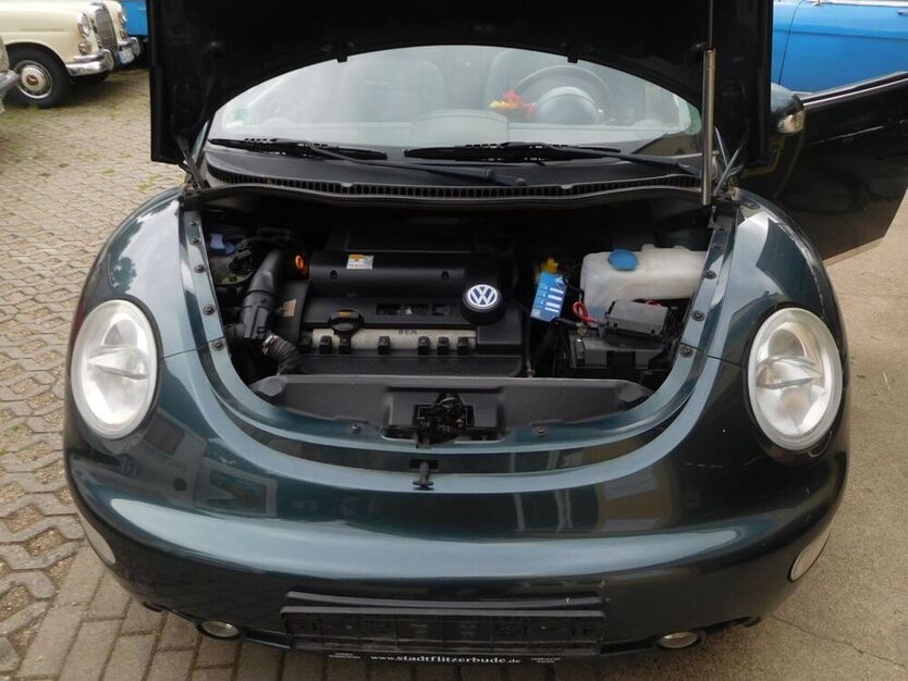Beetle