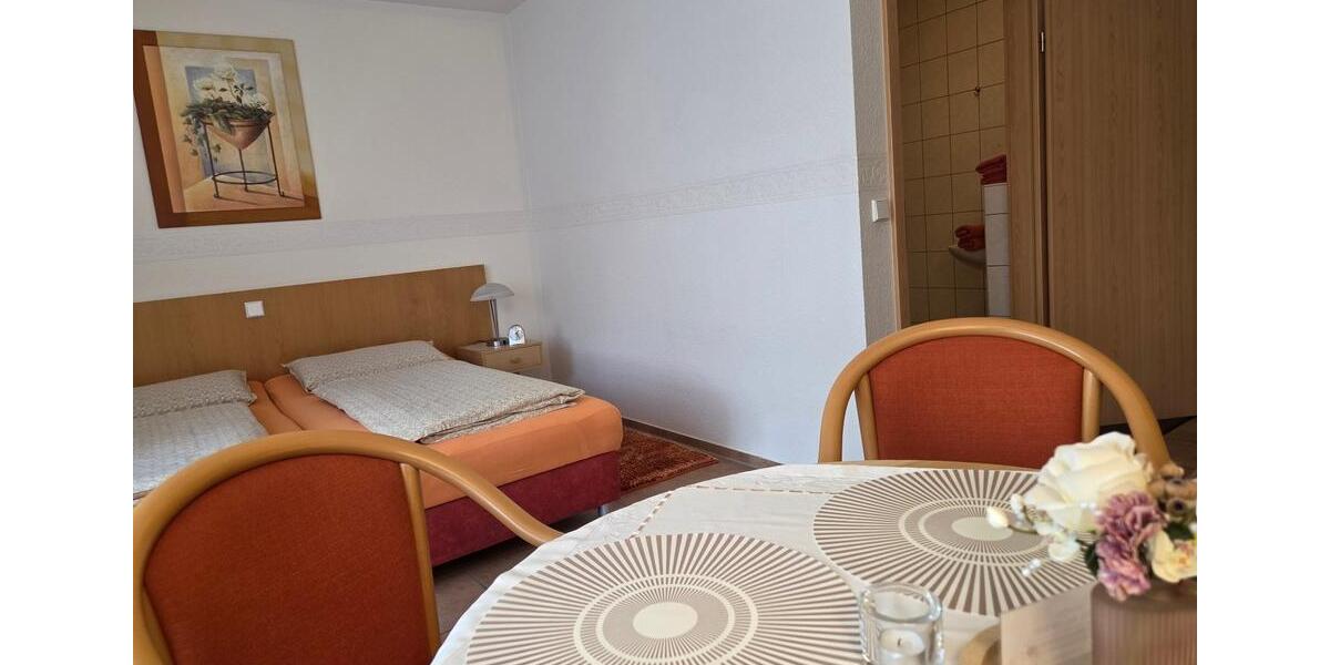 Ferienimmobilie Dresden Blasewitz - 75&euro; | Angebot:25893675