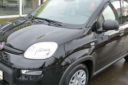 Fiat Panda 1.100 km 13.899 &euro; Oberviechtach 92526