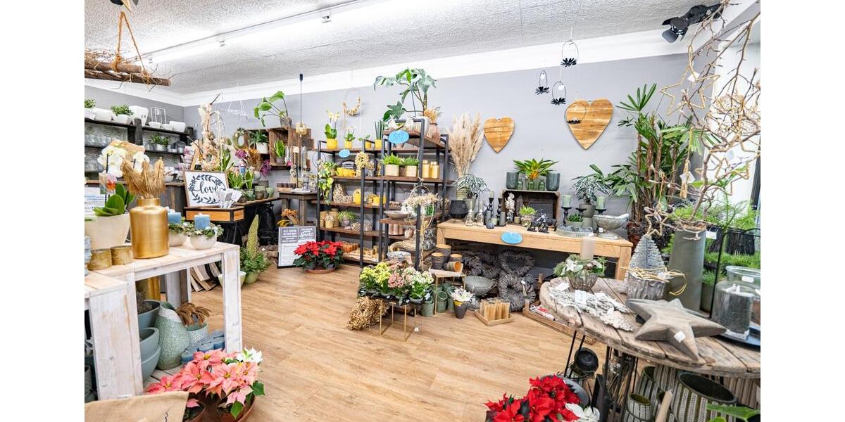 Gewerbeobjekt Bremervörde - 800&euro; | Angebot:22923487