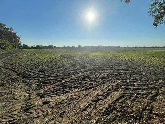 Grundstück Altlandsberg Fasanenpark - 1.190.000&euro; | Angebot:25775806