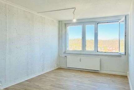 Wohnung Freital Zauckerode - 2 Zimmer, 47 m&sup2;, 303&euro; | Angebot:26699068