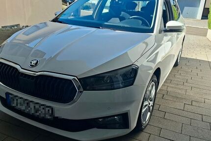 Skoda Fabia 17.832 km 22.100 &euro; Metzingen 72555