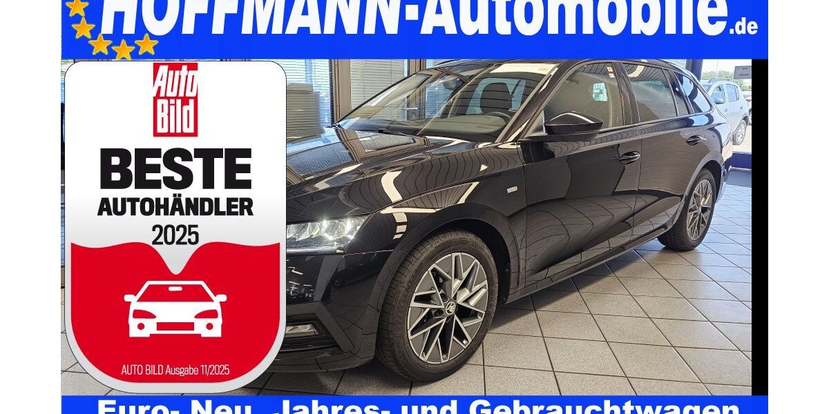 Skoda Octavia 99.118 km 19.900 € Wolfsburg-Heiligendorf 38444