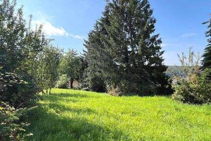 Grundstück zu verkaufen in Hillscheid 195.000 € 1502 m² zimmer