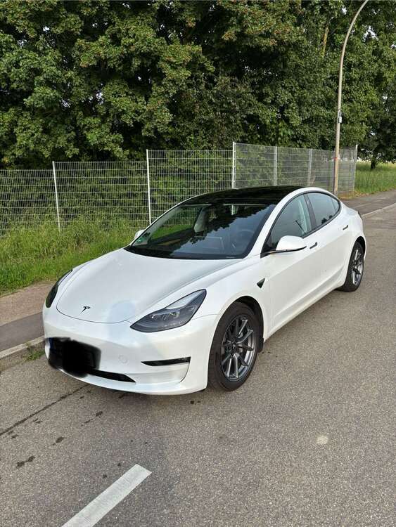 Model 3