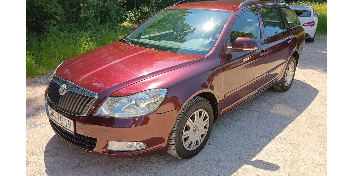 Skoda Octavia 235.000 km 2.850 &euro; Göppingen 73035