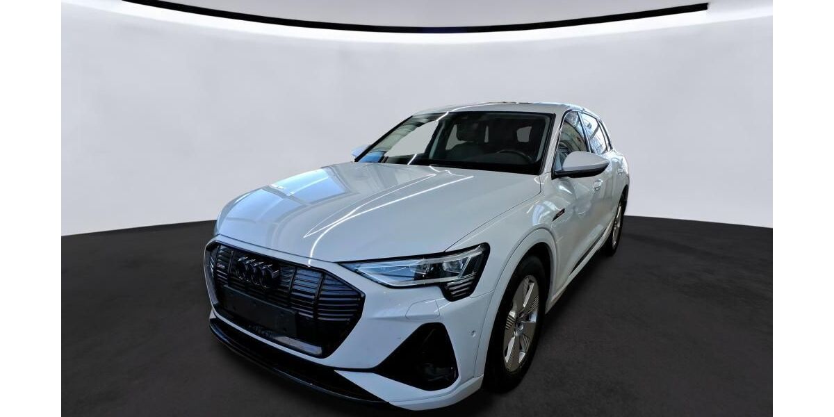 Audi e-tron 69.366 km 30.990 &euro; Hamburg 22047