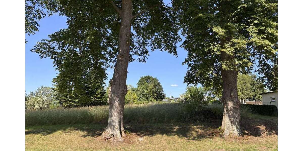 Grundstück Badow Badow - 63.000&euro; | Angebot:25156073
