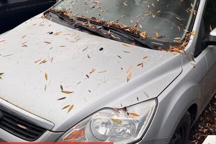 Ford Focus 317.702 km 1.490 € Rostock-Warnemünde 18119