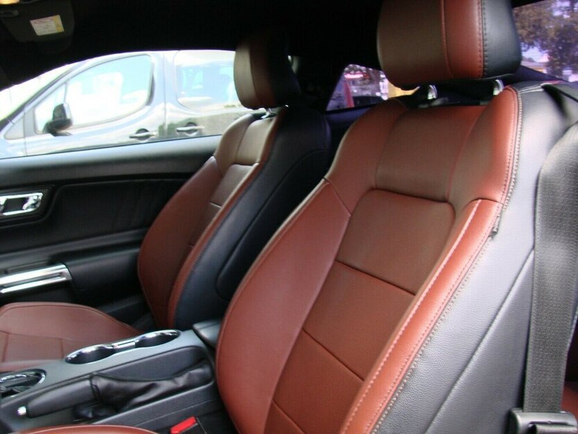 Mustang 5.0 GT Coupé Navi Kamera SHAKER