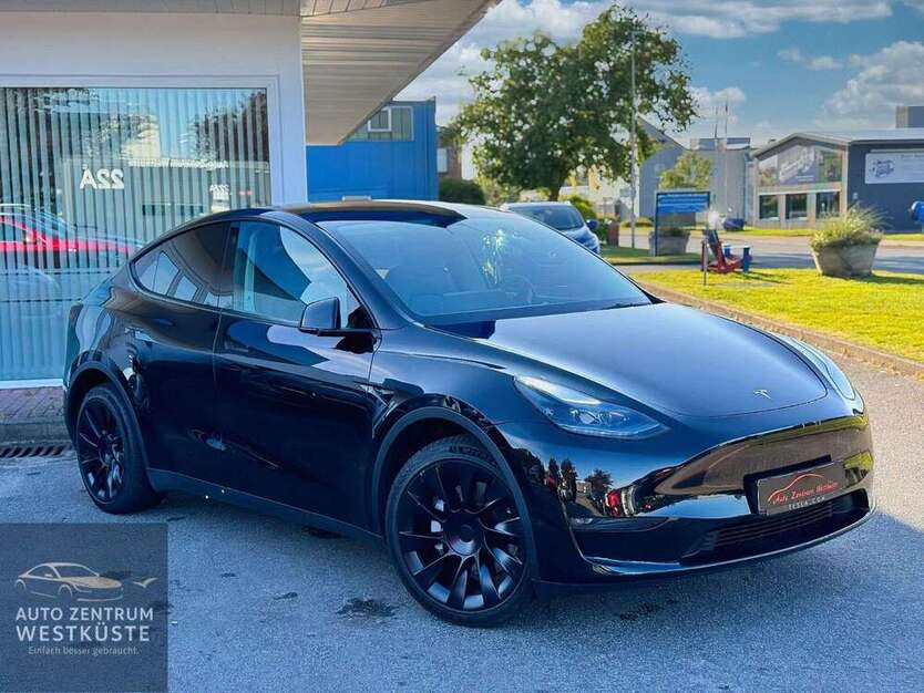 Model Y