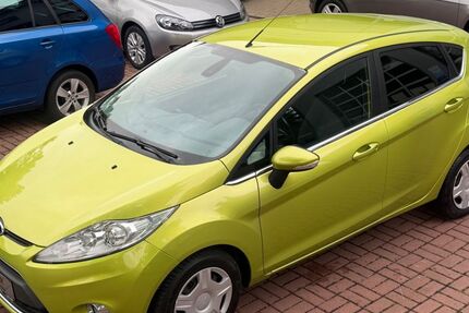 Ford Fiesta 134.513 km 3.990 &euro; Apolda 99510