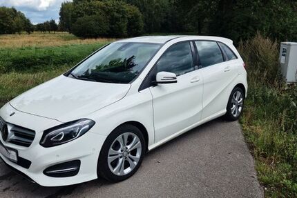 Mercedes-Benz B 220 135.600 km 11.299 &euro; Brahlstorf 19273