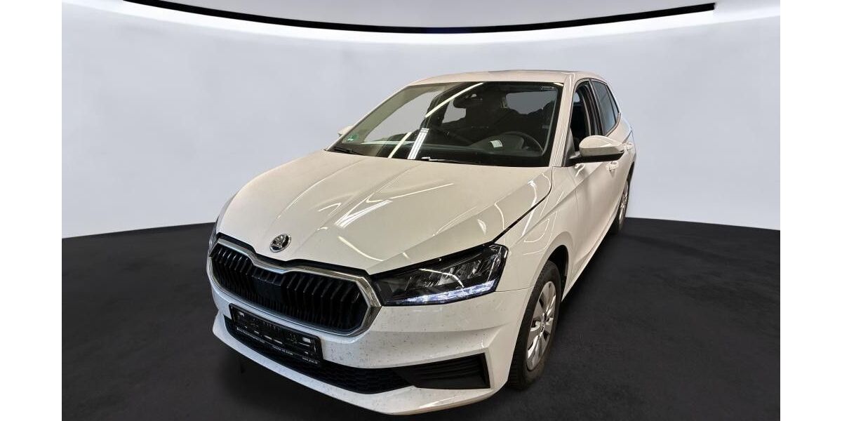Skoda Fabia 74.007 km 14.490 &euro; Weferlingen 39356