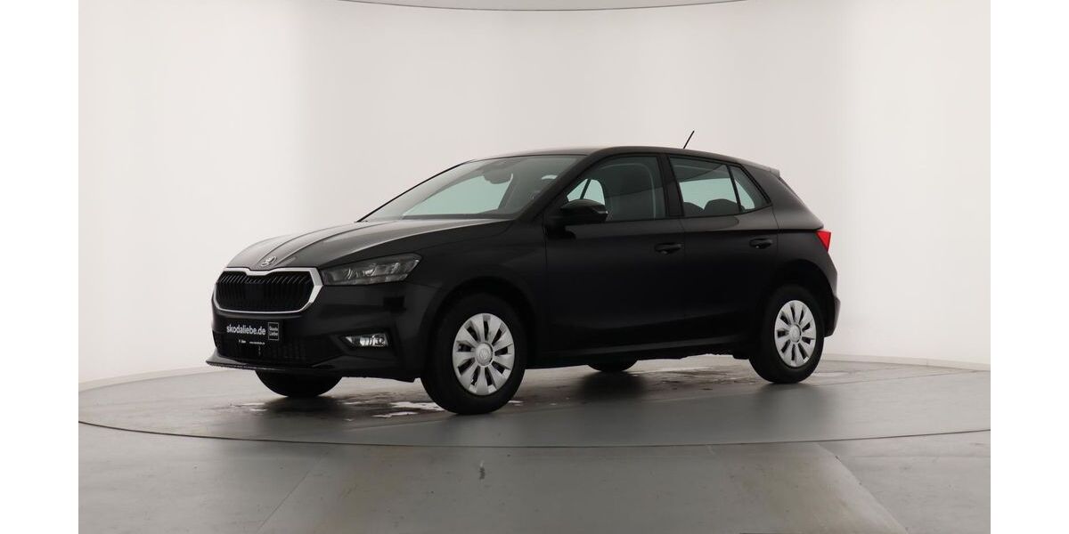 Skoda Fabia 3.000 km 16.555 &euro; Zwenkau (Leipzig) 04442
