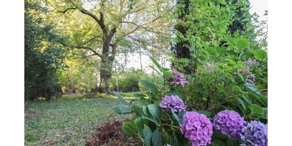 Grundstück Velgast Bussin - 59.900&euro; | Angebot:25478792