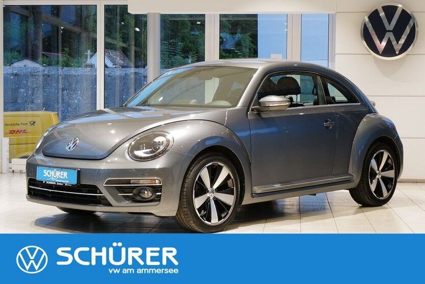 Beetle