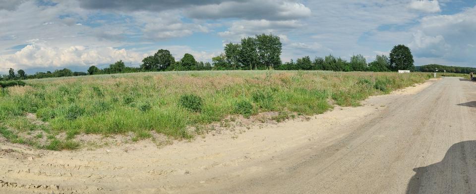 Grundstück mit Feldblick in Bruchhausen-Vilsen im Neubaugebiet zimmer