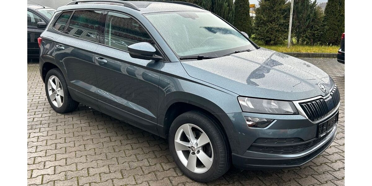 Skoda Karoq 135.489 km 16.895 &euro; Wasungen 98634