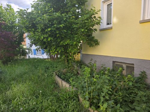 Zweifamilienhaus in 97534 Hergolshausen zwischen Schweinfurt, Würzburg und Volkach (ID 2587) - Einfamilienhaus Waigolshausen Waigolshausen | Angebot:24385028