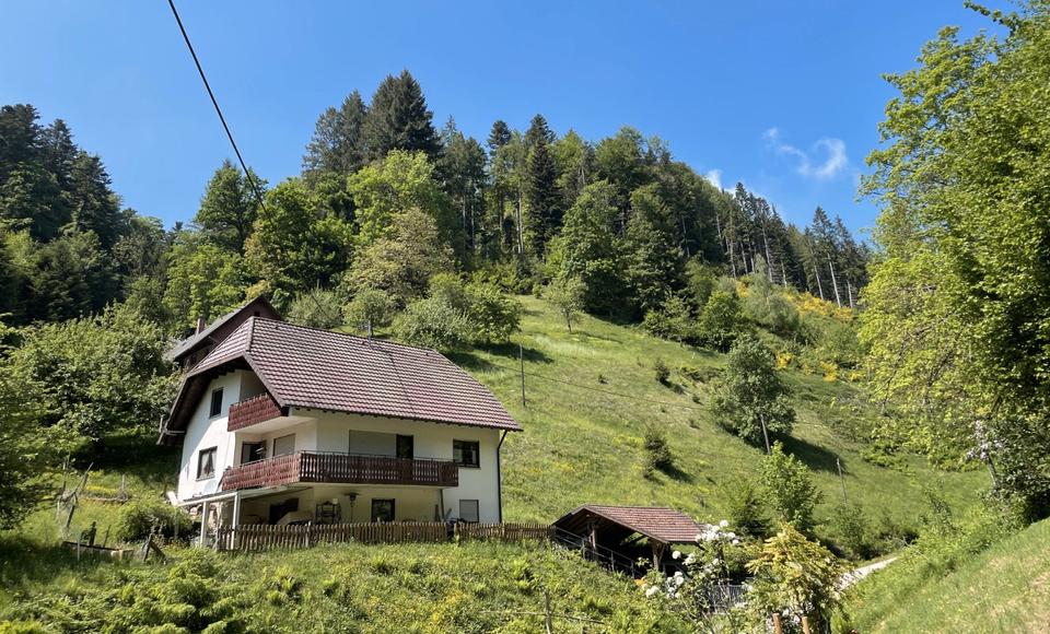 Mehrfamilienhaus, Wohnhaus Stegen - 9 Zimmer, 258 m&sup2;, 770.000&euro; | Angebot:26889303