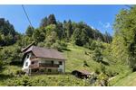 Mehrfamilienhaus, Wohnhaus Stegen - 9 Zimmer, 258 m&sup2;, 770.000&euro; | Angebot:26889303