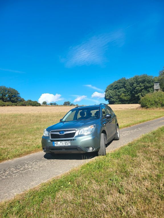Forester