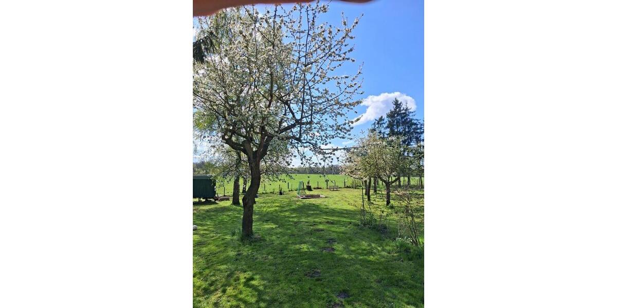 Doppelhaushälfte Dorf Mecklenburg - 5 Zimmer, 150 m&sup2;, 225.000&euro; | Angebot:26523774
