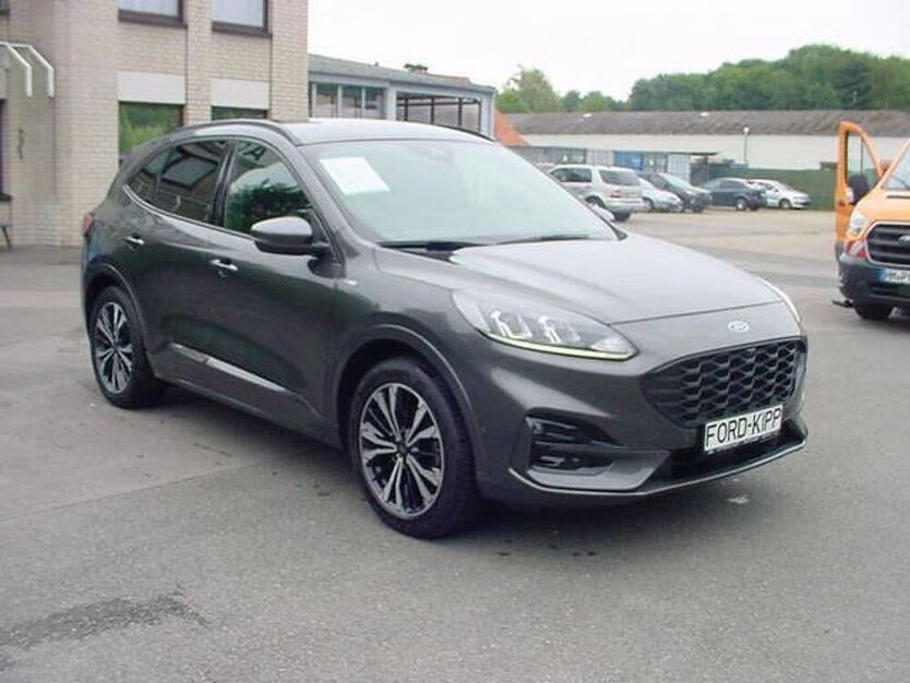 Kuga