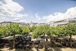 Gewerbeobjekt Kassel Mitte - 3.500&euro; | Angebot:26875223