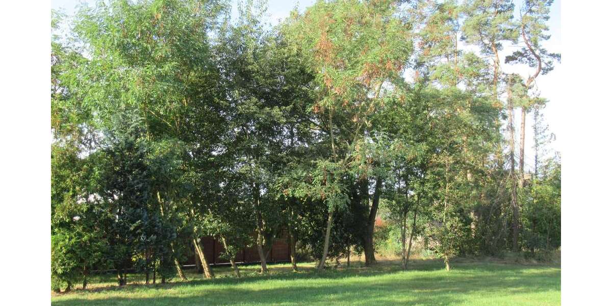 Grundstück zu verkaufen in Gifhorn 26.400 € 220 m² zimmer