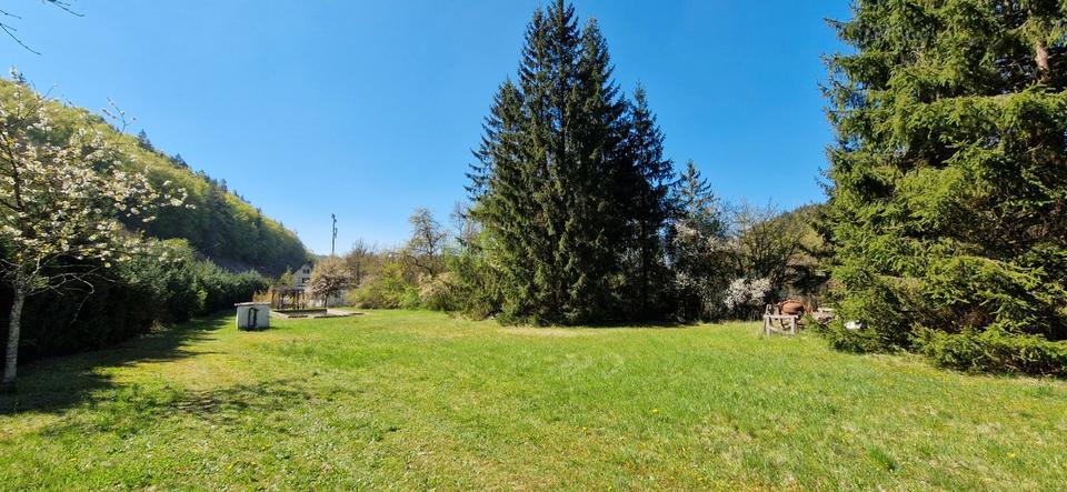 Einfamilienhaus Engen - 9 Zimmer, 250 m&sup2;, 599.900&euro; | Angebot:27267550