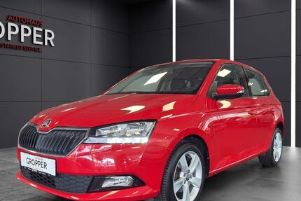 Skoda Fabia 77.250 km 11.550 &euro; Paderborn 33104