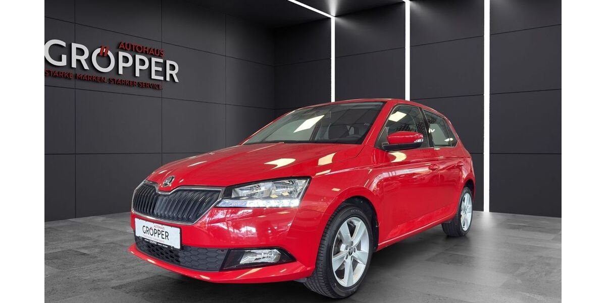 Skoda Fabia 77.250 km 11.550 &euro; Paderborn 33104