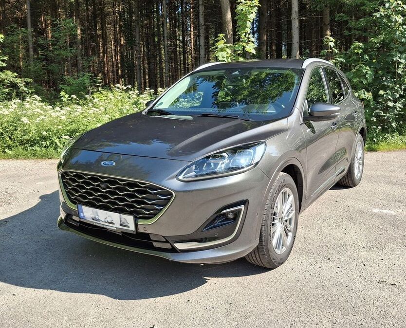 Kuga