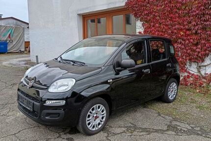 Fiat New Panda 24.000 km 9.750 &euro; Hattenburg 88416