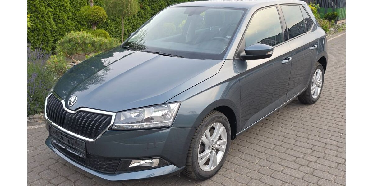 Skoda Fabia 46.200 km 12.960 &euro; Bad-Sassendorf 59505