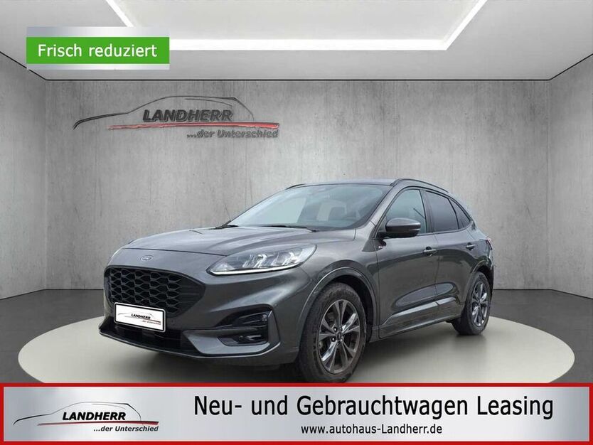 Kuga